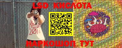 крисы Бузулук