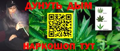 крисы Бузулук