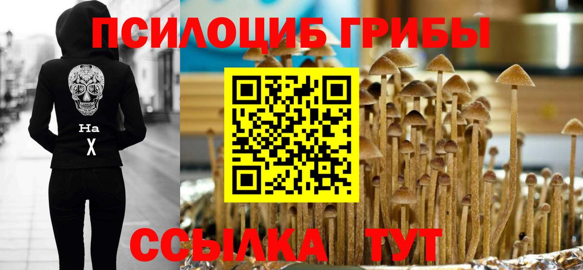 Галлюциногенные грибы Cubensis  Псилоцибиновые грибы Cubensis  Вход с VPN  Темрюк 